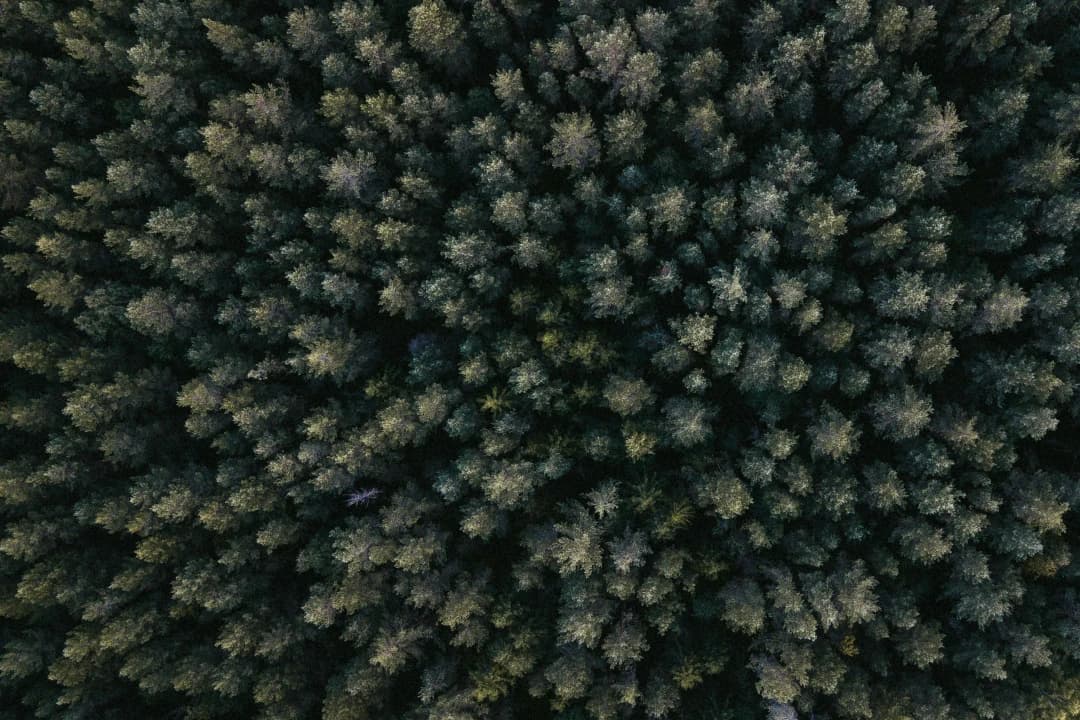 Industries 01